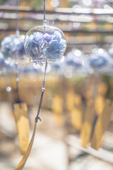 京都　-　【正寿院（風鈴寺）の風鈴】