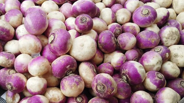 Fresh, organic turnips, brassica rapa subsp, on display on a market stall.  Zoom out