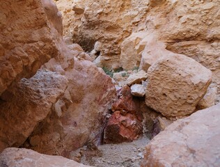 Hiking in Maale Amram ascent, south Israel 