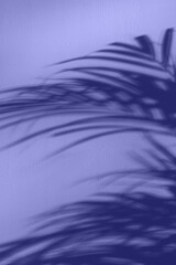 Palm leaves shadow on white wall. Abstract nature background. Trendy very peri color.