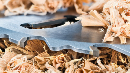 Closeup of circular saw blade metal teeth in a pile of beautiful twisted wooden shavings. Detail of...