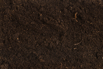 Fototapeta na wymiar Soil for plant isolated on white background.