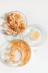 Abstract cosmetic laboratory. Nature cosmetics with sea moss. Chemical laboratory research.