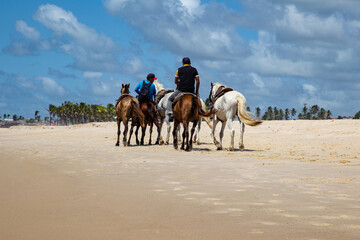 Cavalos na Praia