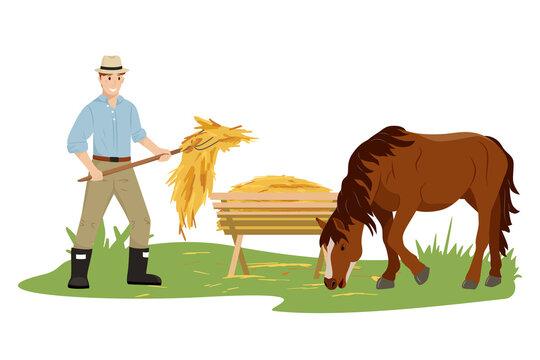 The man takes care of his beloved horse, gives them hay. Horse eat hay at the farm. Country pet. Agricultural work. Isolated character on a white background. Vector illustration in flat style