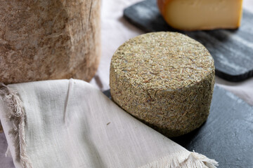 cheese with spices and rosemary