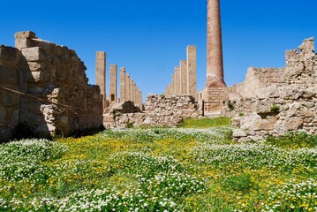 Interior of ruins of old tuna factory in Riserva Naturale Oasi Faunistica di Vendicari, province Syracuse, Sicily, Italy.