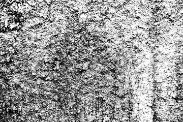 black and white texture - grunge background for graphic