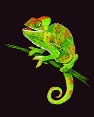 Drawing chameleon, art.illustration, camouflage reptile, vector