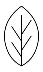 leaf icon image