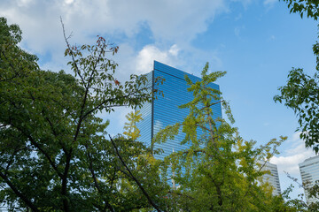 高層ビル ビル ビル群 大阪 ビジネス 仕事