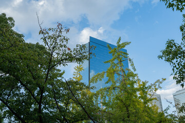 高層ビル ビル ビル群 大阪 ビジネス 仕事