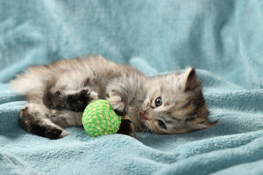 Cute Kitten Playing With Ball On Light Blue Blanket