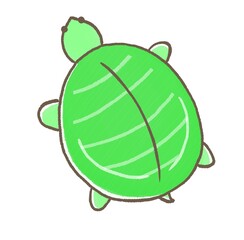 R:もっとメルヘンな水族館☆スッポン　上から①