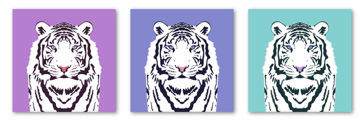 Symbol of the Chinese new year 2022. White tiger collection. Modern vector design