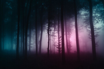 strange light in dark woods, fantasy landscape