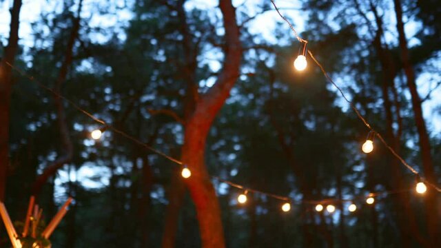 Festive string lights illumination on boho tipi arch decor on outdoor wedding ceremony venue in pine forest at night. Vintage string lights bulb garlands shining above chairs at summer rural wedding.