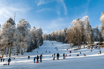 Winter scene with people enjoying in winter activities on sledding hill at Sljeme, Croatia