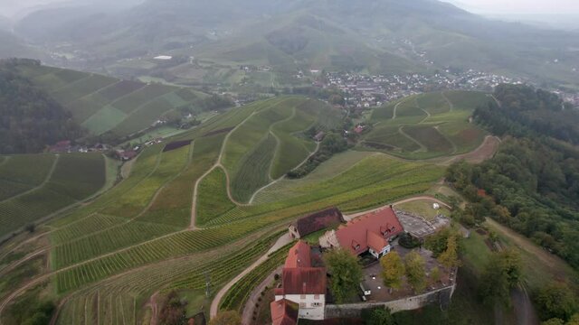 Castle surrounded by vineyards, Schloss Staufenberg, Durbach
