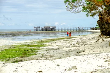 Crédence de cuisine en verre imprimé Plage de Nungwi, Tanzanie Nungwi a peut-être les plages les plus parfaites de Zanzibar