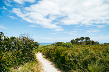 Walking track with sea views at Port Campbell on the Great Ocean Road