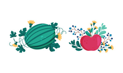 Obraz na płótnie Canvas Fresh ripe watermelon and appple among grass, flowers and berries set vector illustration
