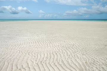 Photo sur Plexiglas Plage de Nungwi, Tanzanie L& 39 île de Mnemba est une petite île située à environ 3 km au large de la côte nord-est d& 39 Unguja, la plus grande île de l& 39 archipel de Zanzibar.