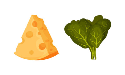 Fresh basil leaves and cheese dairy product, organic natural cooking ingredients vector illustration