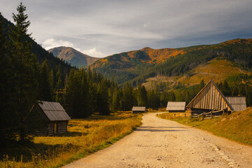 Chochołowska Valley in the autumn landscape. Western Tatras in the morning. © PawelUchorczak
