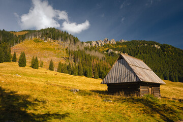 Chochołowska Valley in the autumn landscape. Western Tatras in the morning.