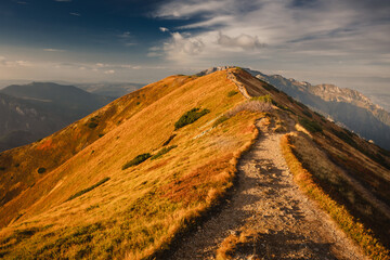 Beautiful autumn in the Western Tatras. Yellow and orange grasses create an amazing atmosphere. The...