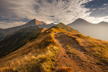 Beautiful autumn in the Western Tatras. Yellow and orange grasses create an amazing atmosphere. The...