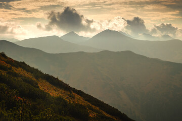Beautiful autumn in the Western Tatras. Yellow and orange grasses create an amazing atmosphere. The...