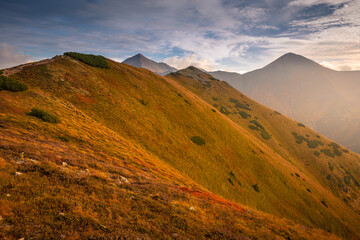 Beautiful autumn in the Western Tatras. Yellow and orange grasses create an amazing atmosphere. The light of the setting sun illuminates the mountain ridges.