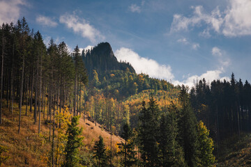 Kościeliska Valley in the autumn landscape. Western Tatras in the morning.