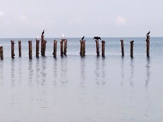 people walking on the beach