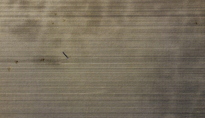Detectorist searcing on newly sown land