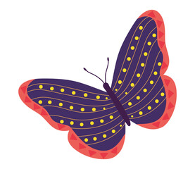 purple butterfly icon