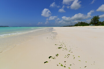 Muyuni Beach is a spectacular beach of flat sand in front of Mnemba island