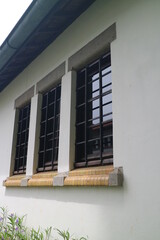 glass window with iron trellis cover