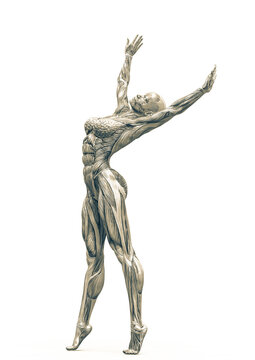 Female Bodybuilder Pose Images – Browse 17,933 Stock Photos, Vectors