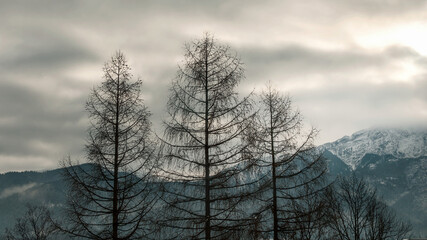  Zakopane. Widok z szpitalnego okna. © Janusz