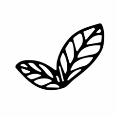 Plakat vector illustration of a leaf in doodle style