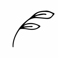 vector illustration of a leaf in doodle style