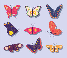 butterflies icon set