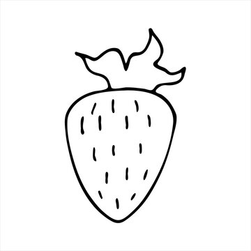 A doodle icon with a hand-drawn outline of strawberries. Vector image of fresh berries for printing, Internet, advertising.