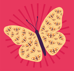 beautiful butterfly illustration