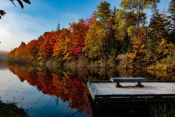 Mooneys Pond