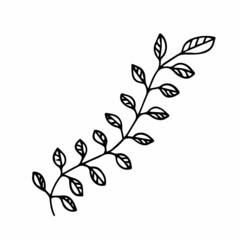 
vector illustration of a branch with leaves in doodle style