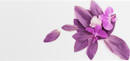 background greeting card in lilac tones with place for text with orchids and rose in banner format